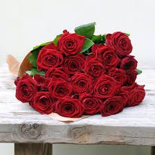 Rote rosen (red roses) is a german telenovela produced by studio hamburg serienwerft lüneburg and broadcast by das erste since 6 november 2006. Rosenstrauss Rote Rosen 20 Stiele Blume2000 De