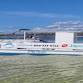 Private 3 Hour Powerboat Dolphin Cruise