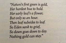 Robert frost, nothing gold can stay, poetry, poem, nature's first green is gold, her hardest hue to hold, the outsiders, stay gold ponyboy homestudio. Nothing Gold Can Stay By Robert Frost Loved This Poem When I First Read It In The Outsiders Nothing Gold Can Stay Aesthetic Words Cool Words