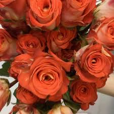 Visit our site and check out our products today. Flowers Of The World Home Facebook