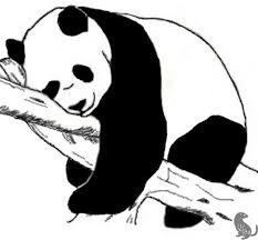 Learn To Draw Panda Tattoo Panda Art Best 3d Tattoos
