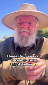 Svae My Shelter Please