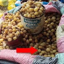 Image result for Ricinodendron