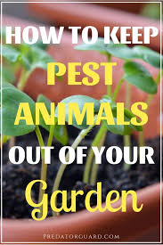 Your garden supply and advice hq. Keeping Pest Animals Out Of Your Garden Predator Guard Predator Deterrents And Repellents