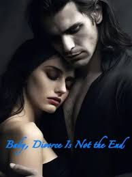 Read completed Baby, Divorce Is Not the End online -NovelCat
