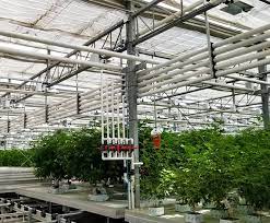Irrigation Systems For Your Marijuana Greenhouse Indoor Cannabis Grow Facility Commercial Greenhouse Structures Systems Design Ggs