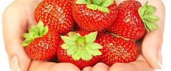 فوائد الفراولة منتدى اسلامي مفيد strawberry fruit food