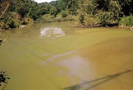 There are a lot of human activities that cause water pollution, and many of these happen close. Water Pollution Definition Causes Effects Solutions Examples Facts Britannica