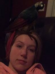 What are the quietest duck breeds?