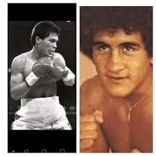 LAMINA VERDE INFO📱https://wa.me/50379601453