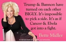 Just days after the american cancer society celebrated its own 100th birthday, sadly we lost a birthday within our own acs family. Trump Bannon Have Turned On Each Other Bigly It S Impossible To Pick A Side It S As If Cancer Ebola Got Into A Fight Bette Midler Fb Impeach Trump Impeach Pence