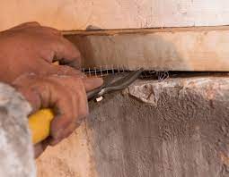 Pest exclusion is a way to prevent buildings from dealing with pest infestation while maintaining a healthy atmosphere for employees, and not exposing them to harsh chemicals and pesticides. Rodent Exclusion Rodent Proof Your Home