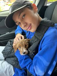 Ritzy Creek Doodles, LLC