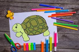 Bekijk meer ideeën over dinosaurus. Schildpad Tekenen Stap Voor Stap