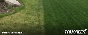 Find cost information, tips on getting the best deal and how much does a grass cutting service cost? Affordable Lawn Care Maintenance Treatment Services Trugreen