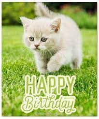 Check spelling or type a new query. Tiernas Y Divertidas Imagenes De Cumpleanos Con Gatos