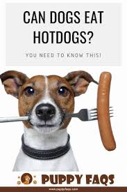 Maybe you would like to learn more about one of these? Can Dogs Eat Hotdogs You Need To Know This Puppyfaqs Can Dogs Eat Dog Eating Diabetic Dog