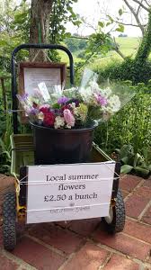 Stagger your planting of each flower variety so the blooms don't all appear and disappear at once. Somerset Cut Flower Garden Blog A Diary Of What We Are Doing Now