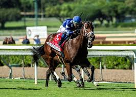 BloodHorse - News update