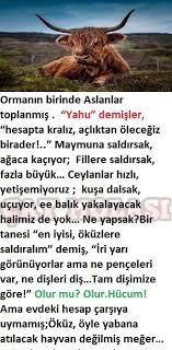 Sari Okuz Kus Dali Aslanlar Komik Fikralar