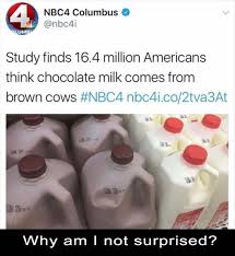 I No Longer Feel Stupid Genius Of The Year Award Only Two Things Are Infinite The Universe And Human Stupidity And Feeling Stupid Funny Pictures Funny