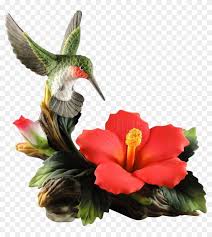 Graphics, and images to download. Hibiscus Flower With Hummingbird Clipart 447337 Pikpng