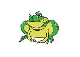 toad database developer and administration software tools