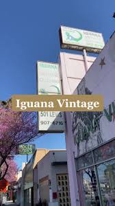 We did not find results for: Iguana Vintage In Sherman Oaks Ca Vintage Thrifting Learnontiktok