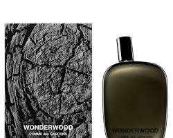Изображение: Comme des Gar&ccedil;ons Wonderwood