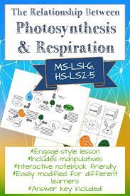 The Relationship Between Photosynthesis Respiration Photosynthesis Science Writing Persuasive Writing Prompts