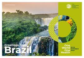 If you're afraid the paper you have is too flimsy, you can glue more than one piece together to make it sturdier. Make Your Own Landscape Postcard Global Landscapes Forum Events