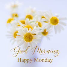 Happy monday good morning flowers. Flower Good Morning Happy Monday Photo Pix Trends