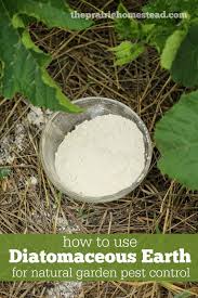 Diatomaceous Earth Uses In The Garden With Images Garden Pest Control Natural Pest Control Diatomaceous Earth