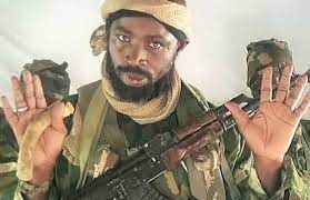 Boko haram leader, abubakar shekau in a new audio condemns kano death dadumiduminsa video daga sambisa yanzunan abubakar shekau yatafka rashin imani. Zjd7essfv9blym
