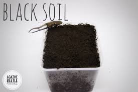 Media tumbuh dan tempat melekatkan akar sumber nutrisi tekstur dan struktur tanah. Jual Media Kumbang Substrate Black Soil Kab Bogor Agathe Woodcrafts Tokopedia