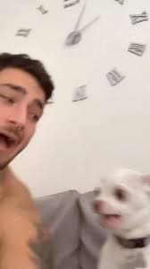 reelsfacebook #lovechihuahua #chihuahua #dog #lovepet #amoranimal #lovepets  #follow #loveanimals #kuchikuchi #angrydog #petadoption #petfriendly  #dogadoption #petlove #animalrescue #doglovers #dogs #dogrescue #rescuedog  #petrescue