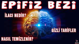 Epifiz Bezi Nasil Acilir 3 Goz Nasil Temizlenir Kalp Gozu