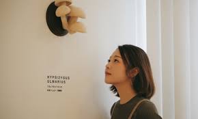 Nepal, afghanistan, and especially india have been hit hard as well. Next Wave Chinese Needle Felting Artist Takes A Less Traveled Road Global Times