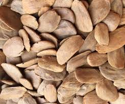 Image result for Picralima nitida