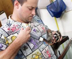 Images: Behind the scenes at the Willowbrook Wildlife Center