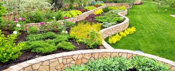 We have serviced thousands of gardens, leaving our happy customers with fresh and vibrant green spaces to enjoy. Garden Maintenance Dubai Garden Landscaping Service Homegenie