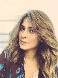 Firdous Shaikh's Instagram, Twitter & Facebook