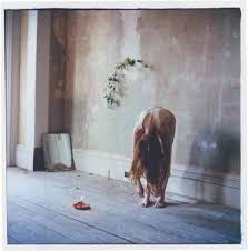 Florence The Machine High As Hope Artwork Florence Welch Hope Artwork Florence