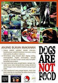 Saat kita dihujat, dibicarakan oleh sekelompok orang atau seseorang, kita mempunyai pepatah anjing menggongong, kafilah berlalu, intinya kita harus stong dalam melewati sebuah situasi yang dikatakan tidak nyaman karena ocehan orang yang tidak mengerti kita secara utuh. Anjing Adalah Sahabat Manusia Bukan Makanan Stop Memakannya Masih Banyak Opsi Makanan Lain Yang Pantas Di Makan Stop Nurutin Nafsu Pe Anjing Sahabat Biadab