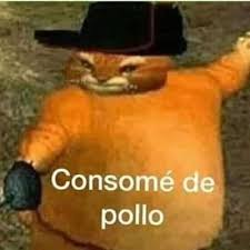 He replied that children should not eat any form of reconstituted meat, of mechanically recovered meat, such as chicken nuggets. Consome De Pollo Consomedepoll11 Twitter