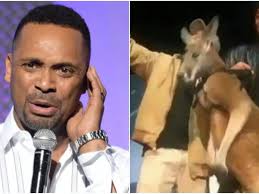 Hangover' Actor Brings A Kangaroo In His Live Show, Gets Punched In The  Face By The Animal!