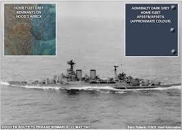 Image result for Grey 1964 Fleet