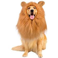 Bestonegogogo 1 Pcs Light Brown Funny Lion Mane Wig With Ears For Large Or Medium Dog Adjustable Washable For Dog Pet Costumes Cat Pet Halloween Costumes Dogs