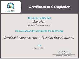 Licensing — Life And Disability Insurance Analyst, Insurance Fraud And Bad  Faith Expert Witness, Health Insurance And Medicare Plans