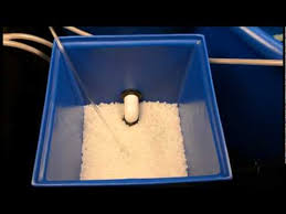 We did not find results for: Aes Mini Fish Farm Instructional Video Youtube